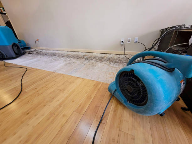 Professional Ceiling Water Damage Repair technician working in Girardville, PA