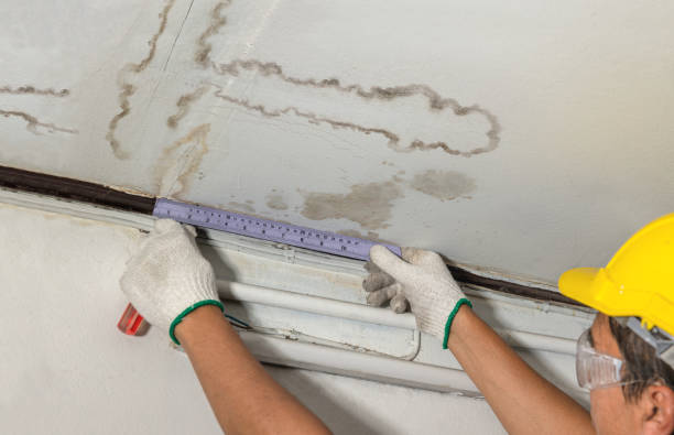 Affordable Ceiling Water Damage Repair solutions in Girardville, PA